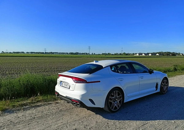 Kia Stinger cena 256000 przebieg: 15500, rok produkcji 2022 z Miłomłyn małe 172